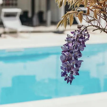 Aquavista - Panoramic Lakefront Penthouses With Pool カステッレット・ソプラ・ティチーノ