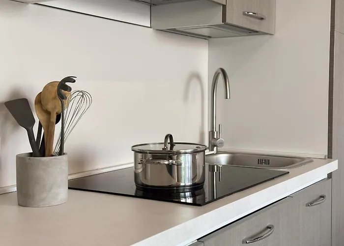 Aquavista - Panoramic Lakefront Penthouses With Pool Castelletto sopra Ticino