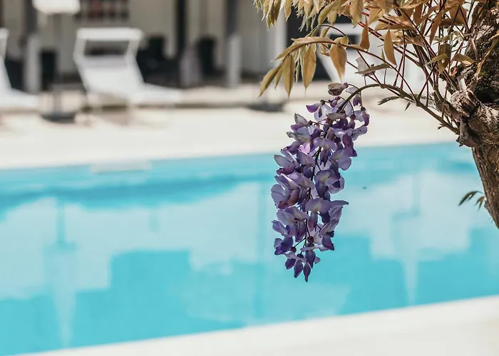 Aquavista - Panoramic Lakefront Penthouses With Pool Castelletto sopra Ticino